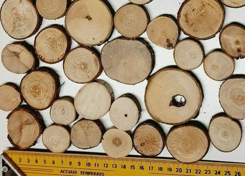Astscheiben 6 cm x - astscheiben,