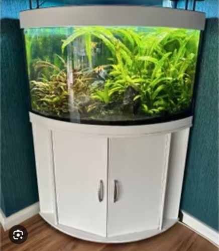 Eckaquarium viel zubehör - eckaquarium,