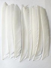 50X Pfeilfedern Naturfedern