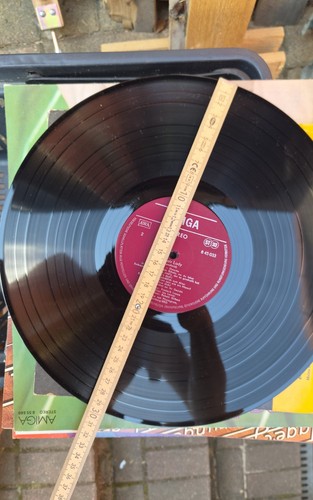 Stück deko singles - 10, 12"