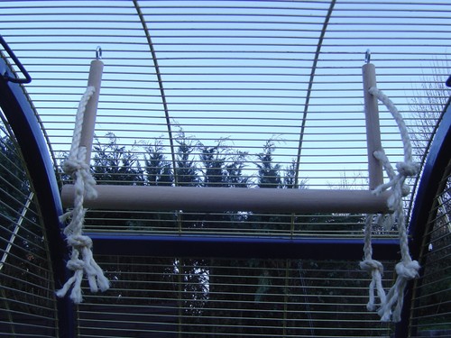 Pipano breite vogelschaukel - vogelschaukel, 28