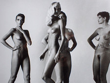 Stell-Es-Auf! HELMUT NEWTON