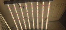 1000 watt led grow light full