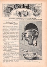 Hund und Vogel - Lothar Meggendorfer - 1896 - Historisches Titelblatt ~22x31cm