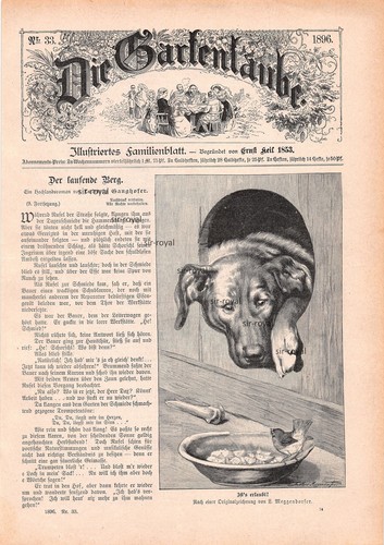 Hund und vogel lothar - hund,