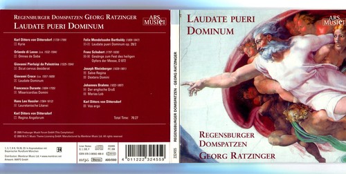 Regensburger domspatzen - regensburger,