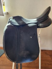 Massimo Dressur 2 , 17, 5 Zoll