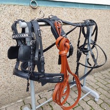 Top  Einspänner Leder