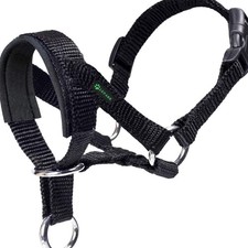 Hundehalfter verstellbar