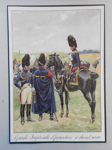 Napoleon elite cavalry print - elite,