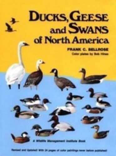 Ducks geese and swans - and, of