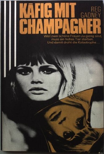 Käfig mit champagner - käfig,