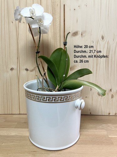 Blumenübertopf - , –