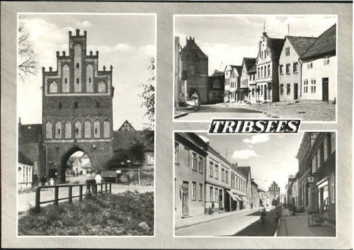 Tribsees 1965 - , x