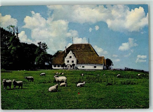 10330603 eiderstedt rote - 10330603,