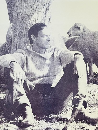 Twombly bilder paintings - -,