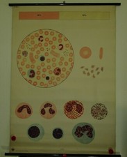 Schulwandkarte DDR Wandkarte