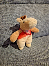 Sterntaler Pferd Paula