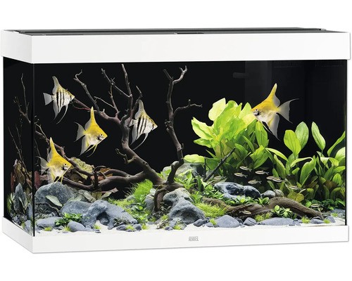 Aquarium juwel rio - aquarium,