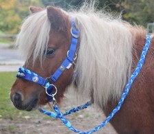 MINISHETTY Trense REITHALFTER