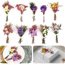 Bund mini trockenblumen - 10,