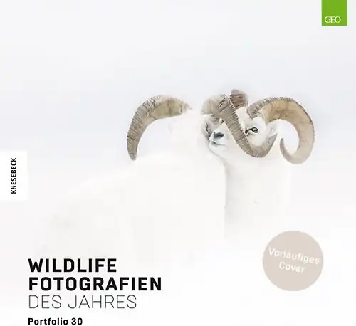 Wildlife fotografien des - fotografien,