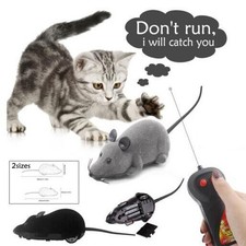 Elektrische Ferngesteuerte