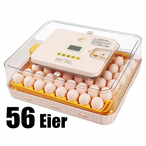 Eier inkubator - eier,