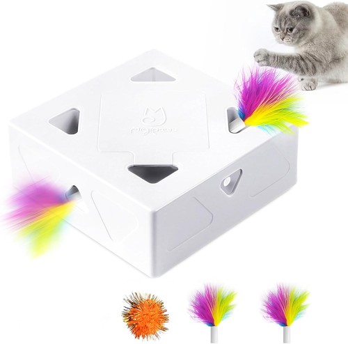 Katzenspielzeug interaktiv