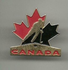 Eishockey  Pin des Teams