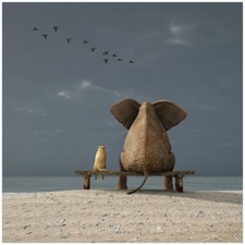 Wallario Kühlschranksticker /