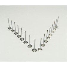 16 Ventile ( 8 Einlaßventil +