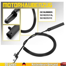 SEILZUG MOTORHAUBE ZUG