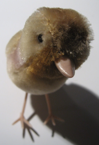 Stofftier vogel steiff - stofftier, vogel,