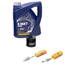 ÖL 4L Inspektionspaket für