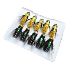 5er Set Nassfliegen Larven I
