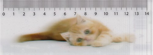 Lineal niedliche kleine - lineal:,