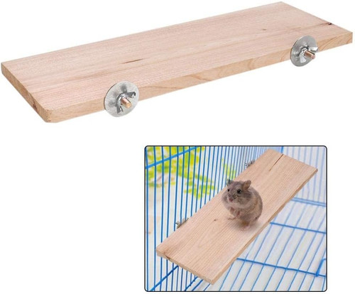 Hamster plattform rechteck - plattform,