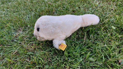 Steiff robbe 5374 - steiff, 5374/17