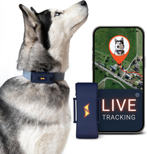 Paj gps tracker für - tracker, 4g