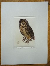 Original Radierung nach Dürer