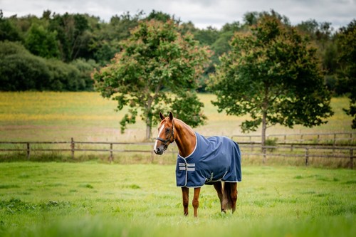 Outdoordecke horseware amigo - outdoordecke,