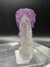 Fluorit auf Quarz aus dem Sauberg Ehrenfriedersdorf Erzgebirge