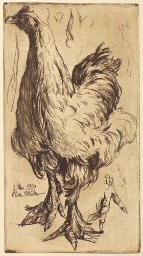 Richard müller huhn - richard,
