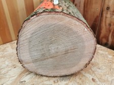 Eiche Drechselholz – 19,5 cm