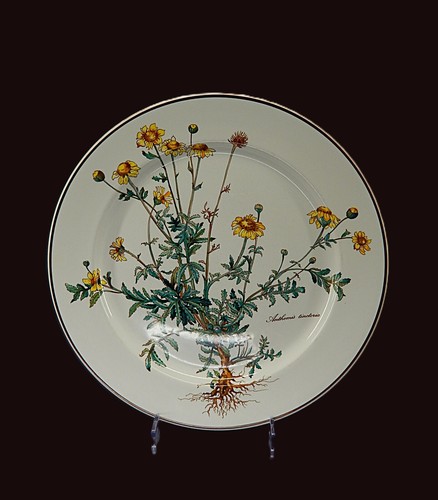 Villeroy boch speiseteller - villeroy, &