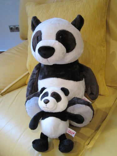 Nici panda bär wild - 2,