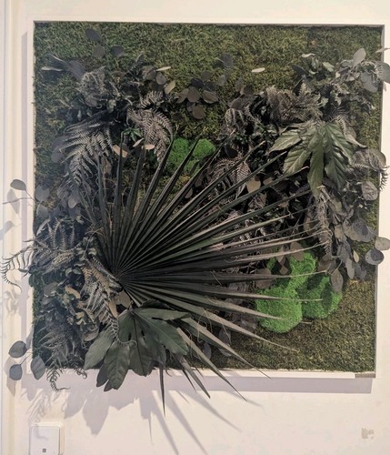 Wandbild pflanzenmotiv - 3d,