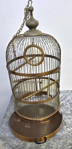 Seltener antiker vogelkäfig - seltener,