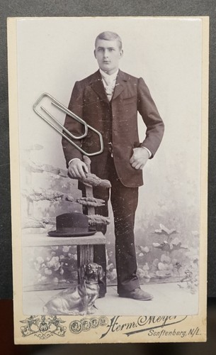 Cdv foto senftenberg - senftenberg, lausitz